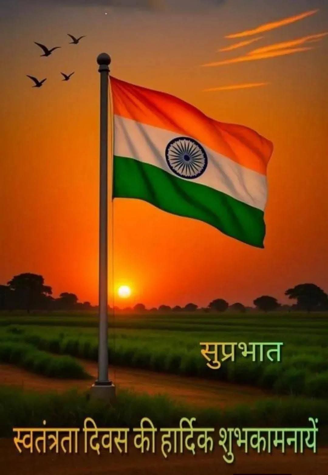 राजीव कुमार झा