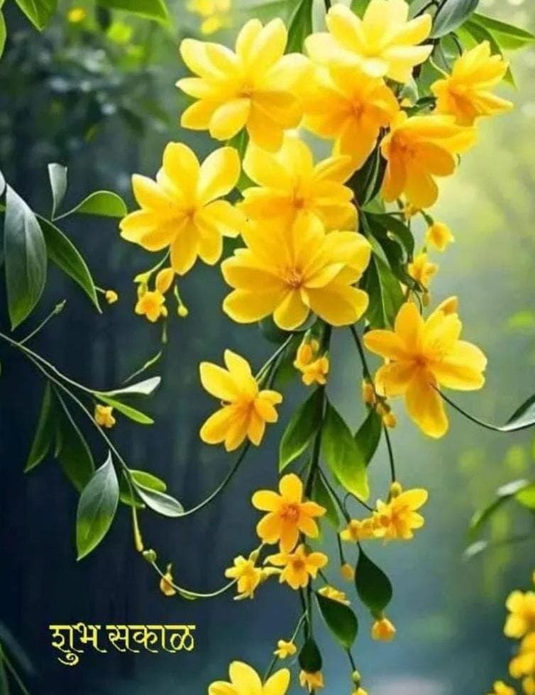 देश में संस्कृत दिवस आयोजन का महत्व